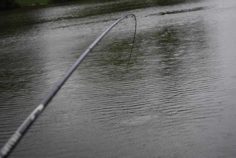 Manor Farm Coarse Fishing Anglers of the Future (24).jpg